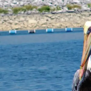 Explore Fascinating Mayan worlds for 15 days with DERTOUR and discover unforgettable experiences - Photo 8