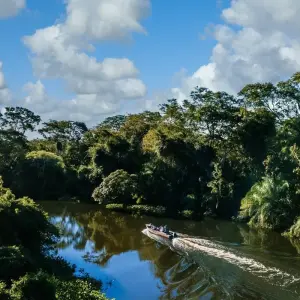 Explore Amazon Village (3 nights) for 4 days with DERTOUR and discover unforgettable experiences - Photo 5