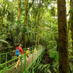 Explore Pura Action - Experience Costa Rica actively for 7 days with DERTOUR and discover unforgettable experiences - Photo 7