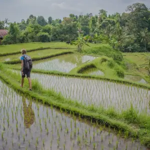 Explore Adventure West Bali & East Java (private tour) for 4 days with DERTOUR and discover unforgettable experiences - Photo 6