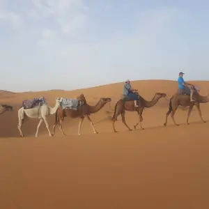 Explore From Marrakech 3-Day, 2-Night Desert Trip to Merzouga Dunes for 3 days with Desert Family Tour and discover unforgettable experiences - Photo 6