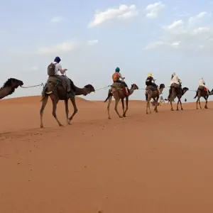 Explore Marrakech to Fes 3 Days Sahara Tour via Merzouga desert for 3 days with Desert Family Tour and discover unforgettable experiences - Photo 8