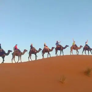 Explore From Marrakech 3-Day, 2-Night Desert Trip to Merzouga Dunes for 3 days with Desert Family Tour and discover unforgettable experiences - Photo 11