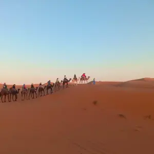 Explore 6 Days Desert Tour From Marrakech & Essaouira for 6 days with Desert Family Tour and discover unforgettable experiences - Photo 8