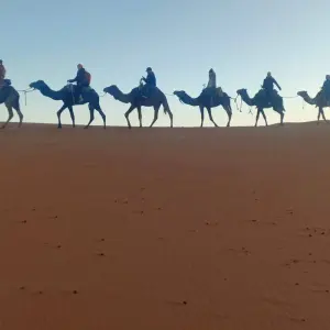 Explore Marrakech to Fes 3 Days Sahara Tour via Merzouga desert for 3 days with Desert Family Tour and discover unforgettable experiences - Photo 10