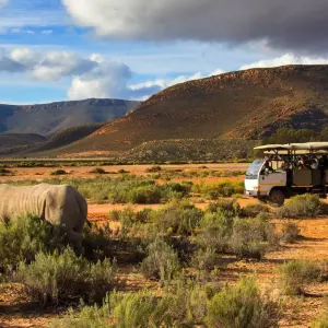 Explore Garden Route to linger (Gqeberha (Port Elizabeth) - Cape Town) for 10 days with DERTOUR and discover unforgettable experiences - Photo 4