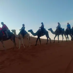 Explore 3 days Sahara tour Fes to Marrakech via Merzouga Desert for 3 days with Desert Family Tour and discover unforgettable experiences - Photo 9