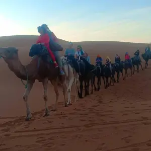 Explore 3 days Sahara tour Fes to Marrakech via Merzouga Desert for 3 days with Desert Family Tour and discover unforgettable experiences - Photo 10