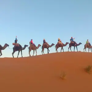 Explore 7 Days Sahara Tour From Casablanca to  Merzouga Desert via Marrakech for 7 days with Desert Family Tour and discover unforgettable experiences - Photo 5