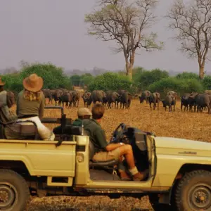 Explore Garden Route to linger (Gqeberha (Port Elizabeth) - Cape Town) for 10 days with DERTOUR and discover unforgettable experiences - Photo 6