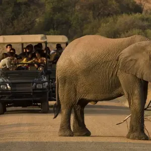 Explore Garden Route to linger (Gqeberha (Port Elizabeth) - Cape Town) for 10 days with DERTOUR and discover unforgettable experiences - Photo 7