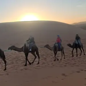 Explore 7 Days Sahara Tour From Casablanca to  Merzouga Desert via Marrakech for 7 days with Desert Family Tour and discover unforgettable experiences - Photo 8
