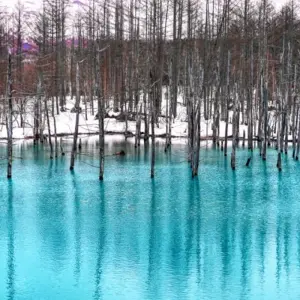 Explore 【Japan】Hokkaido 7 Days Noboribetsu, Asahikawa, Biei Package for 7 days with Delightful Travel and discover unforgettable experiences - Photo 2