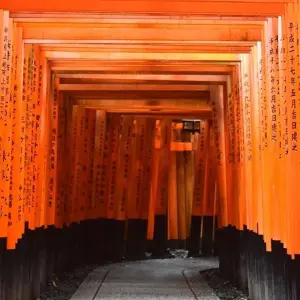 Explore 【Japan】11 Days Grand Luxury Osaka , Kyoto, Nara & Awaji Island Tour with Golf Course experience Package for 11 days with Delightful Travel and discover unforgettable experiences - Photo 3