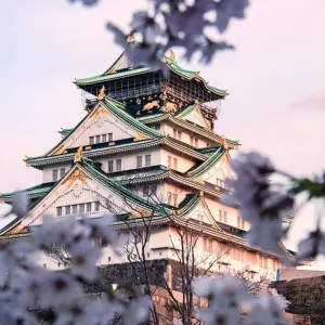 Explore 【Japan】11 Days Grand Luxury Osaka , Kyoto, Nara & Awaji Island Tour with Golf Course experience Package for 11 days with Delightful Travel and discover unforgettable experiences - Photo 5