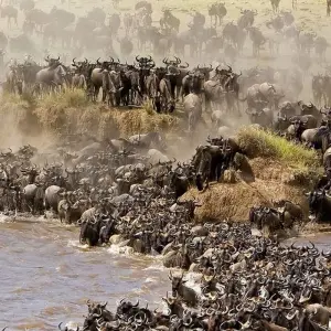 Explore 【Kenya】11 Days 10 Nights Luxury Tour Package for 11 days with Delightful Travel and discover unforgettable experiences - Photo 2