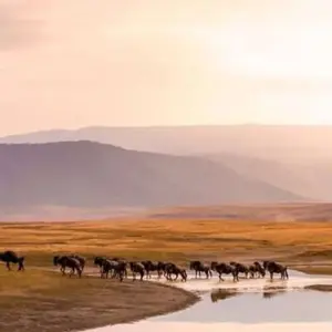 Explore 【South America】 21 days 5-country tour to Brazil, Argentina, Uruguay, Chile, Peru Package for 21 days with Delightful Travel and discover unforgettable experiences - Photo 7