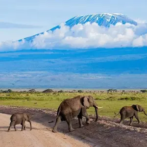 Explore 【Kenya】11 Days 10 Nights Luxury Tour Package for 11 days with Delightful Travel and discover unforgettable experiences - Photo 6