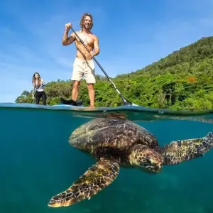 Explore 【Cairns】All Inclusive 7 Days Touring Package with Fitzroy Island Package for 7 days with Delightful Travel and discover unforgettable experiences - Photo 2