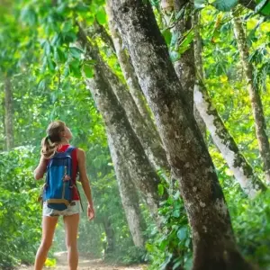 Explore 【Cairns】All Inclusive 7 Days Touring Package with Fitzroy Island Package for 7 days with Delightful Travel and discover unforgettable experiences - Photo 3