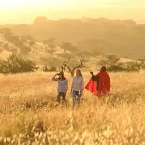 Explore 【Kenya】6 Days Superior Safari Tour Packages for 6 days with Delightful Travel and discover unforgettable experiences - Photo 2