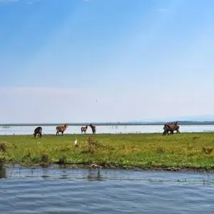 Explore 【Kenya】11 Days 10 Nights Luxury Tour Package for 11 days with Delightful Travel and discover unforgettable experiences - Photo 9