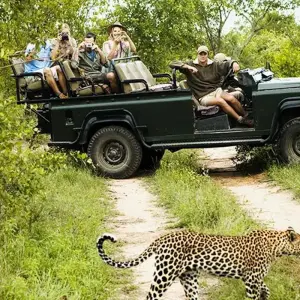 Explore 【South Africa, Zambia, and Zimbabwe】10-Day Tour Package with Pilanesberg National Park & Victoria Falls for 10 days with Delightful Travel and discover unforgettable experiences - Photo 4