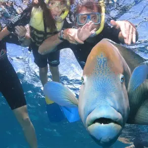 Explore 【Cairns】6 Days Escape Package for 6 days with Delightful Travel and discover unforgettable experiences - Photo 4