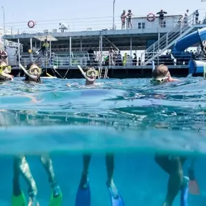 Explore 【Cairns】All Inclusive 7 Days Touring Package with Fitzroy Island Package for 7 days with Delightful Travel and discover unforgettable experiences - Photo 8