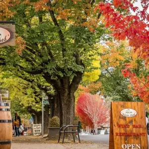 Explore 【Adelaide】5 Days Explore Package for 5 days with Delightful Travel and discover unforgettable experiences - Photo 5