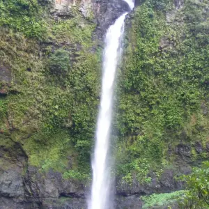 Explore 【Cairns】6 Days Escape Package for 6 days with Delightful Travel and discover unforgettable experiences - Photo 6