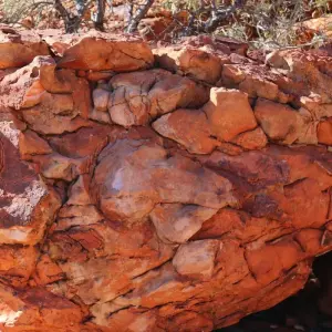 Explore 【Alice Springs】Uluru Ayers Rock & Kings Canyon 8 Days Touring Package for 8 days with Delightful Travel and discover unforgettable experiences - Photo 4