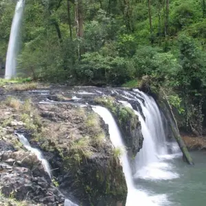 Explore 【Cairns】6 Days Escape Package for 6 days with Delightful Travel and discover unforgettable experiences - Photo 7