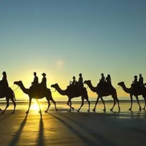Explore 【Broome】All Inclusive 7 Days Touring Package for 7 days with Delightful Travel and discover unforgettable experiences - Photo 5