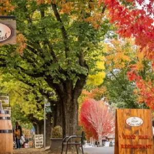 Explore 【Adelaide】6 Days Explore Kangaroo Island Sights and Adelaide Package for 6 days with Delightful Travel and discover unforgettable experiences - Photo 3