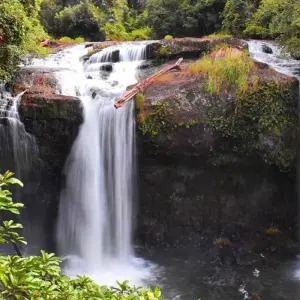 Explore 【Cairns】6 Days Escape Package for 6 days with Delightful Travel and discover unforgettable experiences - Photo 8