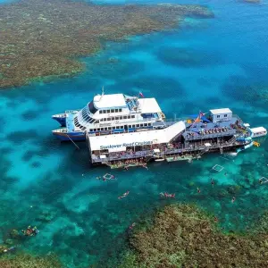 Explore 【Cairns】& Port Douglas All-Inclusive 7 Days Touring Package for 7 days with Delightful Travel and discover unforgettable experiences - Photo 5