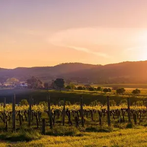 Explore 【Melbourne】All Inclusive Discover 6 Days Touring Packages for 6 days with Delightful Travel and discover unforgettable experiences - Photo 2