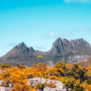 Explore Tasmania Hobart & Launceston All-Inclusive Grand 10 Days Touring Package for 10 days with Delightful Travel and discover unforgettable experiences - Photo 3