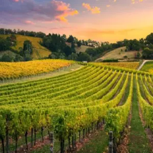 Explore 【Adelaide】6 Days Explore Kangaroo Island Sights and Adelaide Package for 6 days with Delightful Travel and discover unforgettable experiences - Photo 4