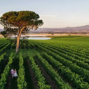 Explore 【Melbourne】All Inclusive Discover 6 Days Touring Packages for 6 days with Delightful Travel and discover unforgettable experiences - Photo 3