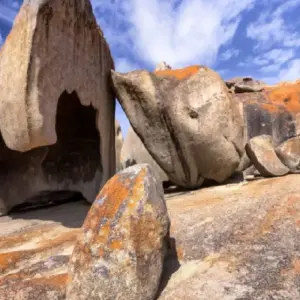 Explore 【Adelaide】6 Days Explore Kangaroo Island Sights and Adelaide Package for 6 days with Delightful Travel and discover unforgettable experiences - Photo 5