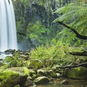 Explore 【Cairns】& Port Douglas All-Inclusive 7 Days Touring Package for 7 days with Delightful Travel and discover unforgettable experiences - Photo 8