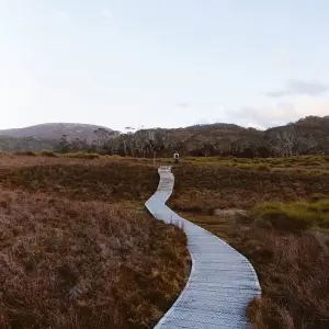 Explore Tasmania Hobart & Launceston All-Inclusive Grand 10 Days Touring Package for 10 days with Delightful Travel and discover unforgettable experiences - Photo 6