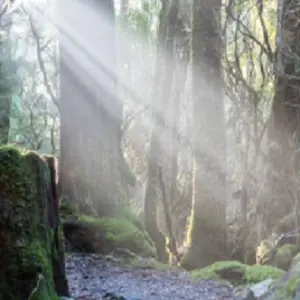 Explore Tasmania Hobart & Launceston All-Inclusive Grand 10 Days Touring Package for 10 days with Delightful Travel and discover unforgettable experiences - Photo 8