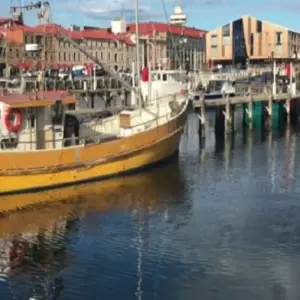 Explore Tasmania Hobart & Launceston All-Inclusive Grand 10 Days Touring Package for 10 days with Delightful Travel and discover unforgettable experiences - Photo 10