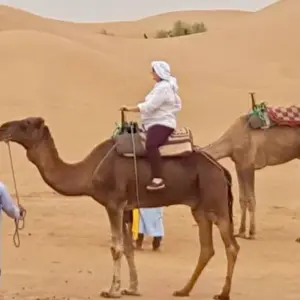 Explore 8 Days Trekking the Moroccan Desert for 8 days with Desert vie  and discover unforgettable experiences - Photo 4