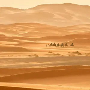 Explore From Marrakech: 3-Day Desert Tour to Fes for 3 days with Desertbrise Travel and discover unforgettable experiences - Photo 5