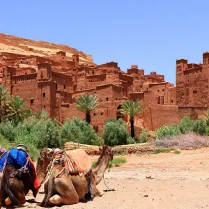 Explore From Marrakech: 3-Day Desert Tour to Fes for 3 days with Desertbrise Travel and discover unforgettable experiences - Photo 9