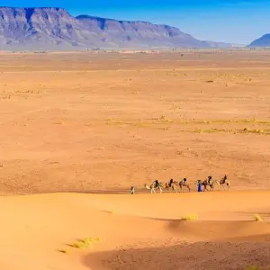 Explore Marrakech To Merzouga 3 days Desert Tour for 3 days with Desertbrise Travel and discover unforgettable experiences - Photo 9